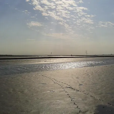 Im Land Der Horizonte * Seeth