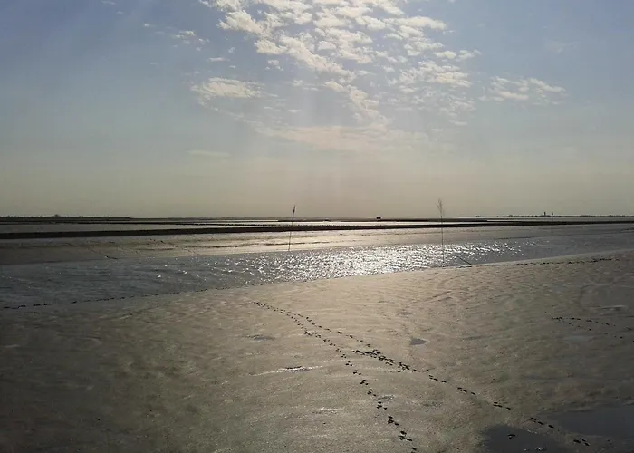 Im Land Der Horizonte * Seeth